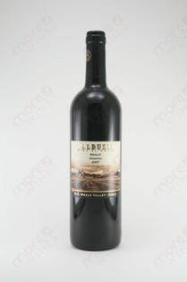 Balduzzi Reserva Merlot 2007 750ml