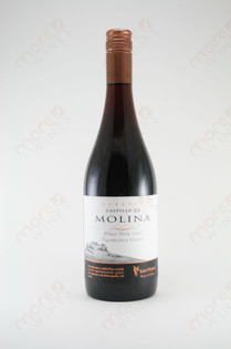 Castillo de Molina Reserva Cabernet Sauvignon 2006 750ml - MoreWines