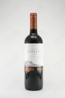 Castillo de Molina Reserva Cabernet Sauvignon 2006 750ml - MoreWines