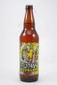 Elysian Brewing DAYGLOW IPA 22fl oz
