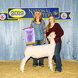 319-1284.jpg 319-1284.jpg