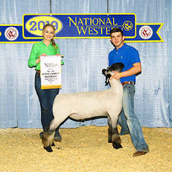 321-1282.jpg 321-1282.jpg