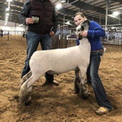 326-1287.jpg 326-1287.jpg