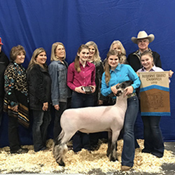 328-1289.jpg 328-1289.jpg