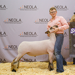 332-1291.jpg 332-1291.jpg