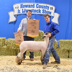 334-1293.jpg 334-1293.jpg