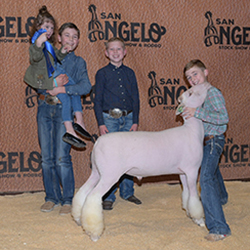 335-1294.jpg 335-1294.jpg