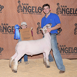 336-1295.jpg 336-1295.jpg