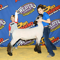 339-1298.jpg 339-1298.jpg