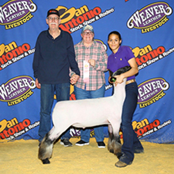 340-1299.jpg 340-1299.jpg