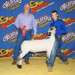 341-1300.jpg 341-1300.jpg