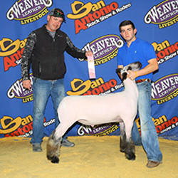 342-1301.jpg 342-1301.jpg