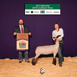 349-1308.jpg 349-1308.jpg