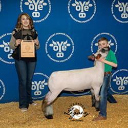 352-1311.jpg 352-1311.jpg