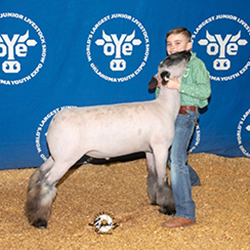 353-1312.jpg 353-1312.jpg