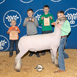 354-1313.jpg 354-1313.jpg