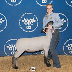 356-1315.jpg 356-1315.jpg