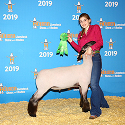 370-1329.jpg 370-1329.jpg