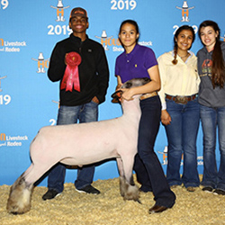 373-1332.jpg 373-1332.jpg