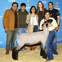 374-1333.jpg 374-1333.jpg