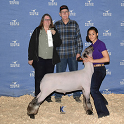 375-1334.jpg 375-1334.jpg