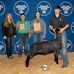 376-1335.jpg 376-1335.jpg