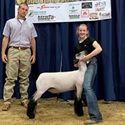 377-1336.jpg 377-1336.jpg