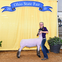 378-1337.jpg 378-1337.jpg