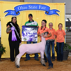 381-1340.jpg 381-1340.jpg