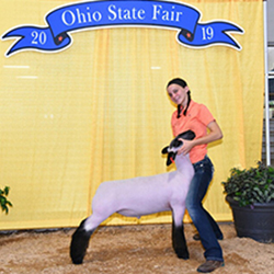 382-1341.jpg 382-1341.jpg