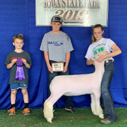 387-1346.jpg 387-1346.jpg