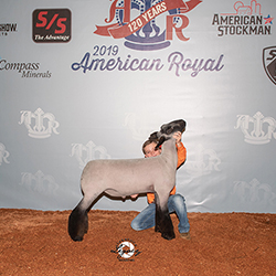 427-1375.jpg 427-1375.jpg