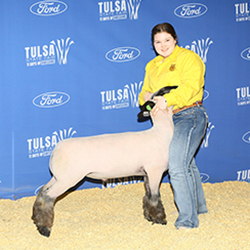 431-1379.jpg 431-1379.jpg