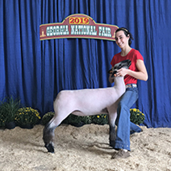 434-1382.jpg 434-1382.jpg