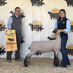 436-1384.jpg 436-1384.jpg