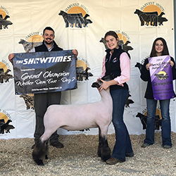 437-1385.jpg 437-1385.jpg