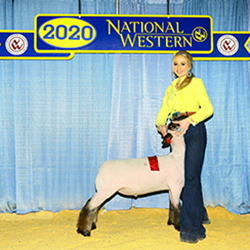 446-1396.jpg 446-1396.jpg