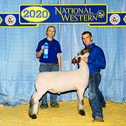 448-1398.jpg 448-1398.jpg