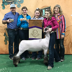 453-1403.jpg 453-1403.jpg