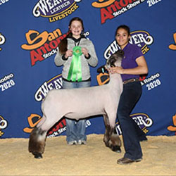 461-1411.jpeg 461-1411.jpeg