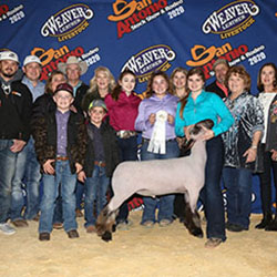 462-1412.jpg 462-1412.jpg