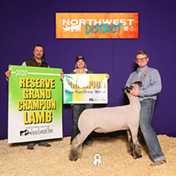 469-1419.jpeg 469-1419.jpeg