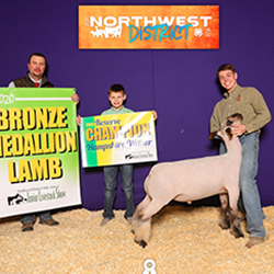 470-1420.jpeg 470-1420.jpeg