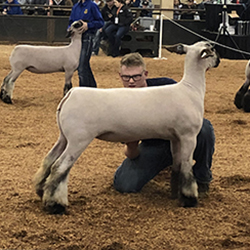 474-1424.jpg 474-1424.jpg