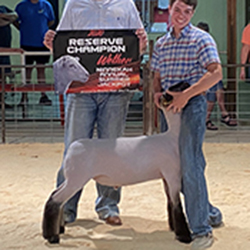 480-1430.jpg 480-1430.jpg