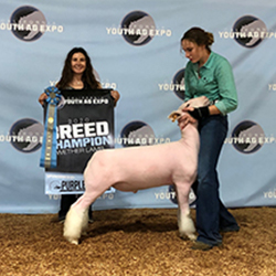 483-1433.jpg 483-1433.jpg