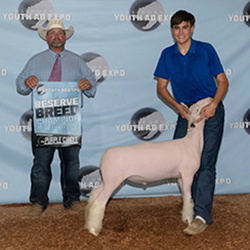 484-1434.jpeg 484-1434.jpeg