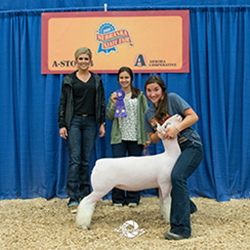 487-1437.jpeg 487-1437.jpeg