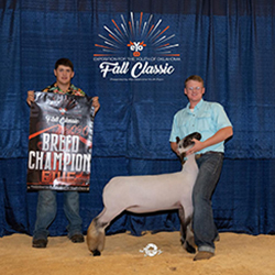 498-1448.jpg 498-1448.jpg