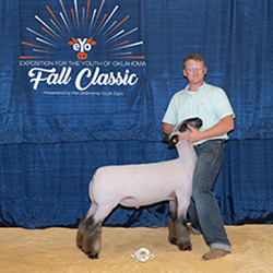 500-1450.jpg 500-1450.jpg